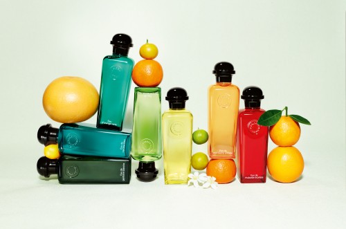 Layout of Hermès Colognes